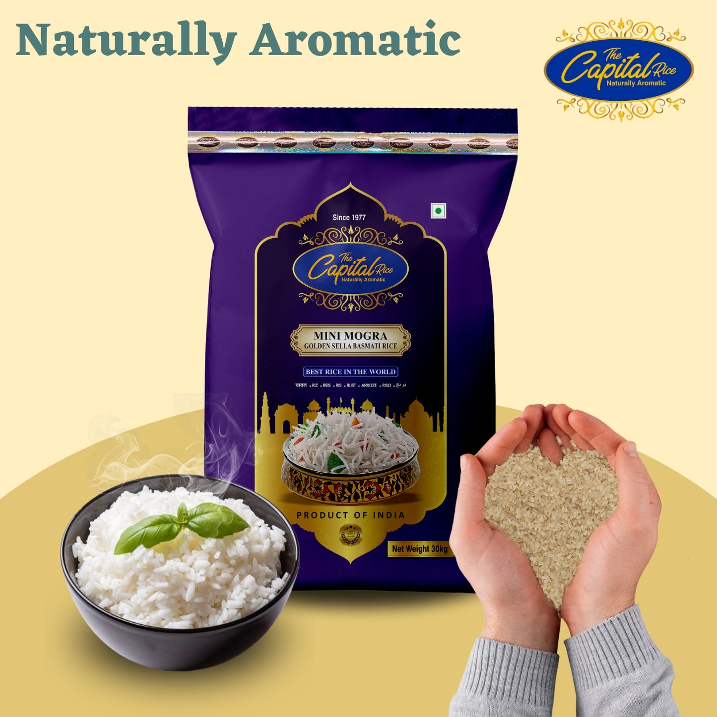 Capital Golden Mini Mogra